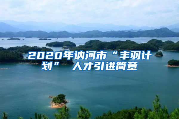 2020年讷河市“丰羽计划” 人才引进简章