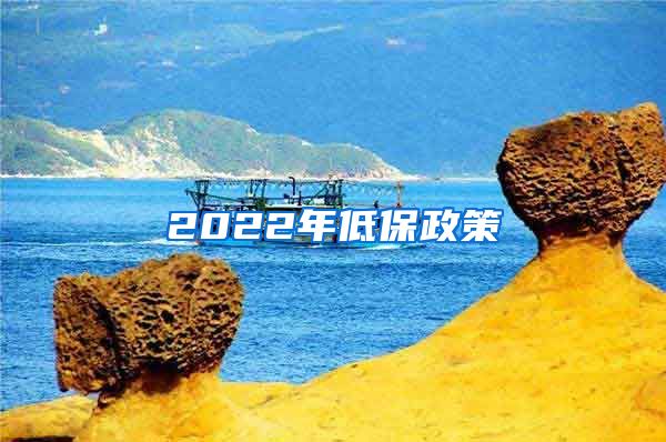 2022年低保政策