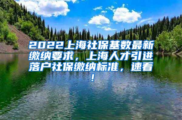 2022上海社保基数最新缴纳要求，上海人才引进落户社保缴纳标准，速看！