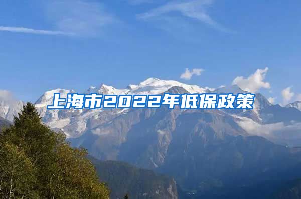 上海市2022年低保政策