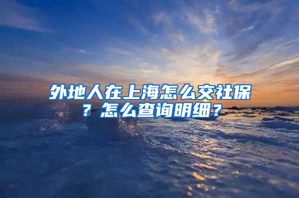 外地人在上海怎么交社保？怎么查询明细？