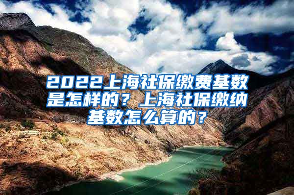 2022上海社保缴费基数是怎样的？上海社保缴纳基数怎么算的？