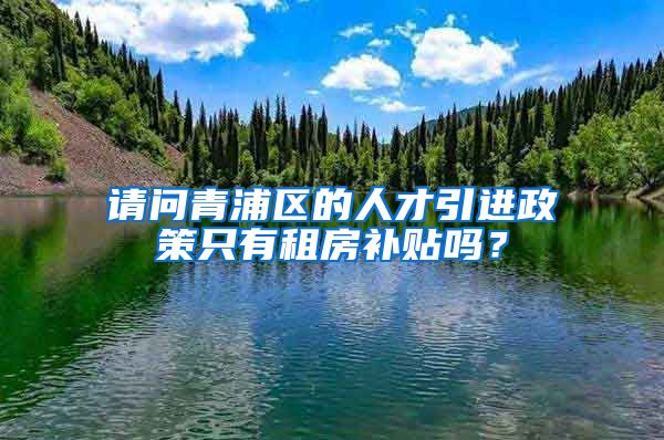 请问青浦区的人才引进政策只有租房补贴吗？