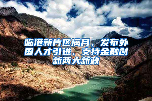 临港新片区满月，发布外国人才引进、支持金融创新两大新政