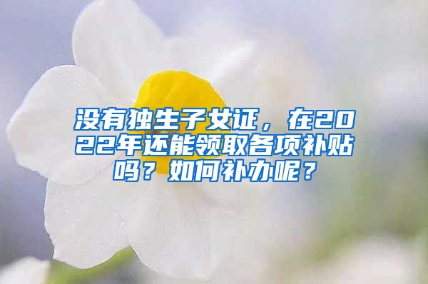 没有独生子女证，在2022年还能领取各项补贴吗？如何补办呢？