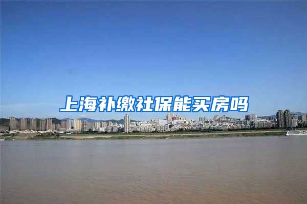 上海补缴社保能买房吗
