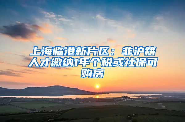 上海临港新片区：非沪籍人才缴纳1年个税或社保可购房