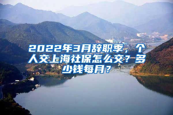 2022年3月辞职季，个人交上海社保怎么交？多少钱每月？