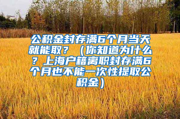 公积金封存满6个月当天就能取？（你知道为什么？上海户籍离职封存满6个月也不能一次性提取公积金）