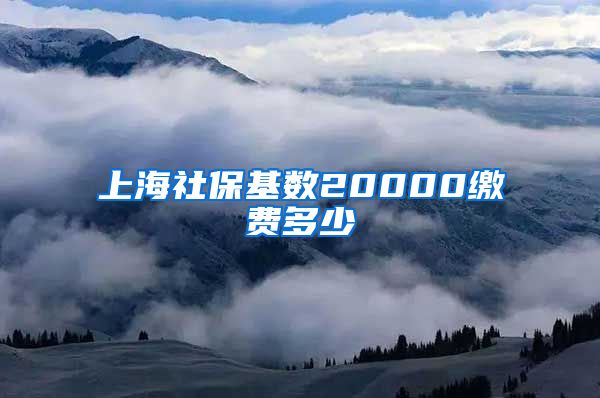 上海社保基数20000缴费多少