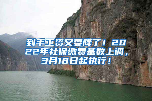 到手工资又要降了！2022年社保缴费基数上调，3月18日起执行！