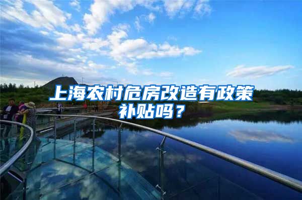 上海农村危房改造有政策补贴吗？