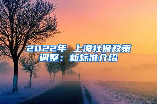 2022年 上海社保政策调整：新标准介绍