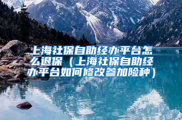 上海社保自助经办平台怎么退保（上海社保自助经办平台如何修改参加险种）