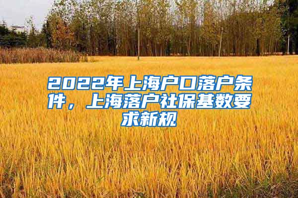 2022年上海户口落户条件，上海落户社保基数要求新规