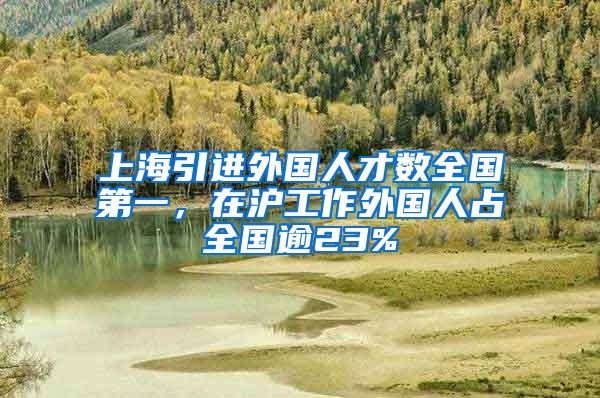 上海引进外国人才数全国第一，在沪工作外国人占全国逾23%