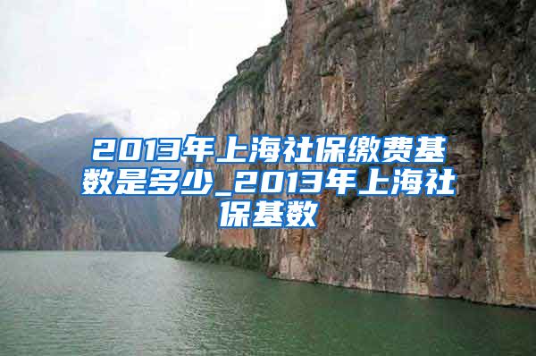 2013年上海社保缴费基数是多少_2013年上海社保基数