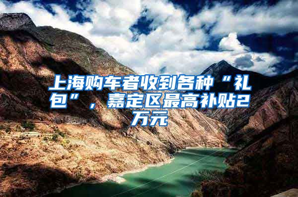 上海购车者收到各种“礼包”，嘉定区最高补贴2万元