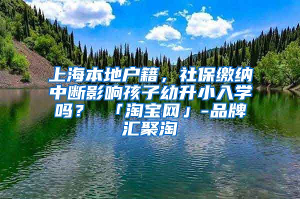 上海本地户籍，社保缴纳中断影响孩子幼升小入学吗？ 「淘宝网」-品牌汇聚淘