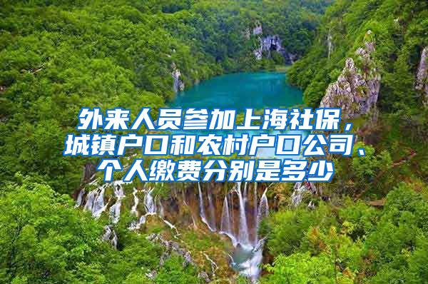 外来人员参加上海社保，城镇户口和农村户口公司、个人缴费分别是多少