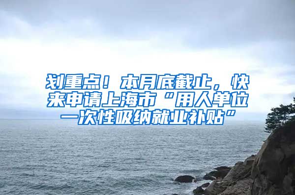 划重点！本月底截止，快来申请上海市“用人单位一次性吸纳就业补贴”