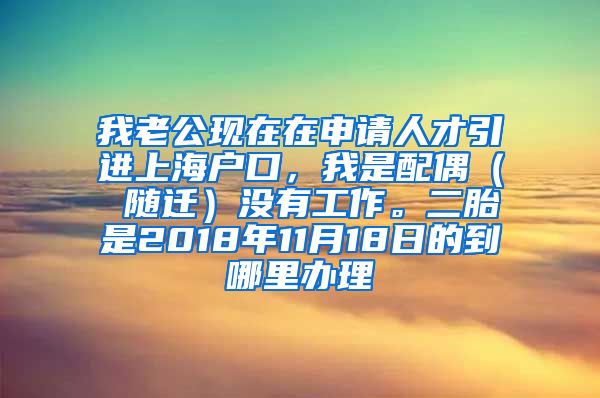 我老公现在在申请人才引进上海户口，我是配偶（ 随迁）没有工作。二胎是2018年11月18日的到哪里办理