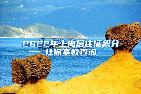 2022年上海居住证积分社保基数查询