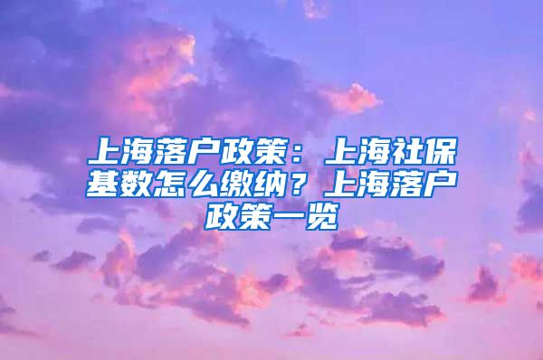 上海落户政策：上海社保基数怎么缴纳？上海落户政策一览