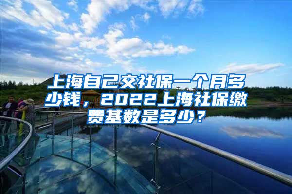 上海自己交社保一个月多少钱，2022上海社保缴费基数是多少？