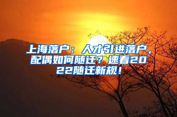上海落户：人才引进落户，配偶如何随迁？速看2022随迁新规！