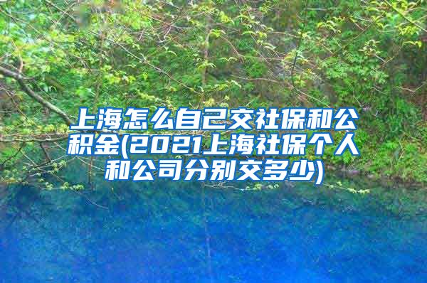 上海怎么自己交社保和公积金(2021上海社保个人和公司分别交多少)