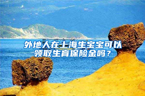 外地人在上海生宝宝可以领取生育保险金吗？