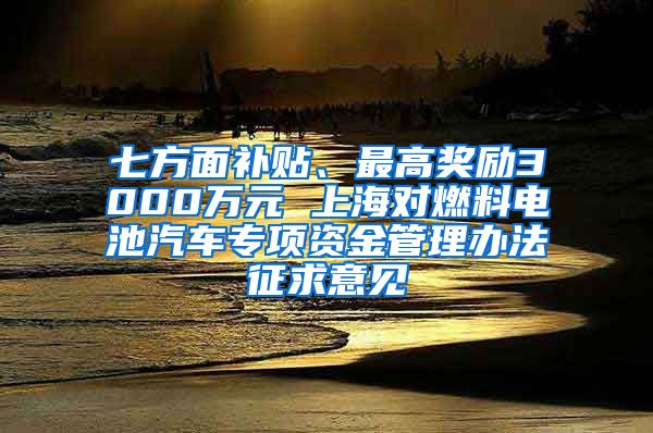 七方面补贴、最高奖励3000万元 上海对燃料电池汽车专项资金管理办法征求意见