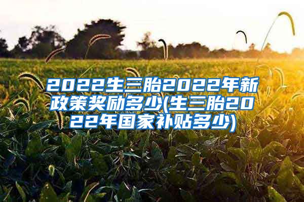 2022生三胎2022年新政策奖励多少(生三胎2022年国家补贴多少)