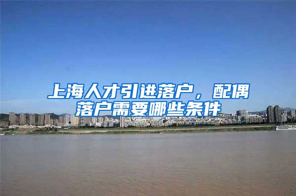 上海人才引进落户，配偶落户需要哪些条件