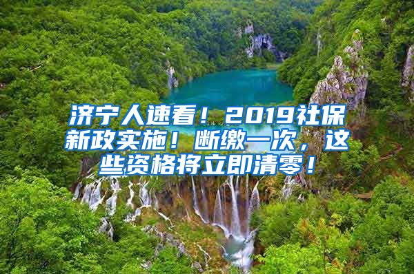 济宁人速看！2019社保新政实施！断缴一次，这些资格将立即清零！