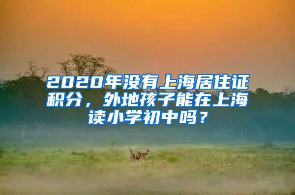 2020年没有上海居住证积分，外地孩子能在上海读小学初中吗？