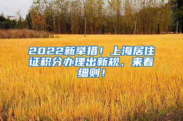 2022新举措！上海居住证积分办理出新规，来看细则！