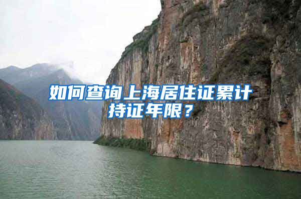 如何查询上海居住证累计持证年限？