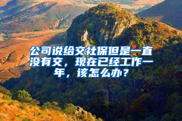 公司说给交社保但是一直没有交，现在已经工作一年，该怎么办？