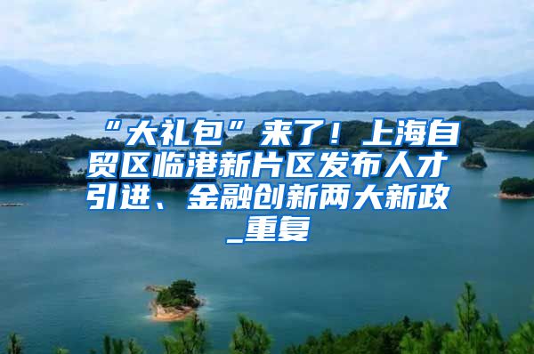 “大礼包”来了！上海自贸区临港新片区发布人才引进、金融创新两大新政_重复