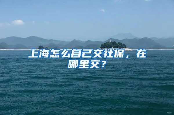 上海怎么自己交社保，在哪里交？