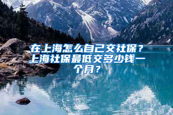 在上海怎么自己交社保？上海社保最低交多少钱一个月？