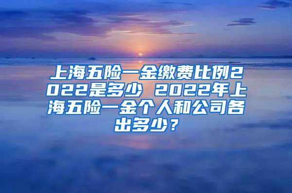 上海五险一金缴费比例2022是多少 2022年上海五险一金个人和公司各出多少？