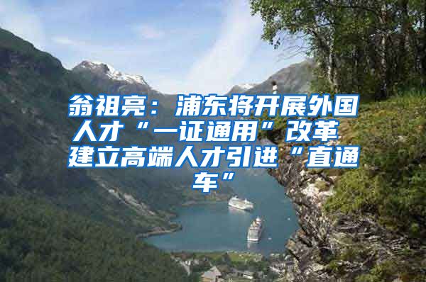 翁祖亮：浦东将开展外国人才“一证通用”改革 建立高端人才引进“直通车”