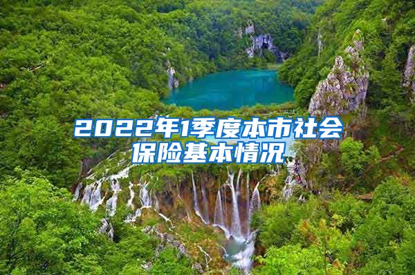 2022年1季度本市社会保险基本情况