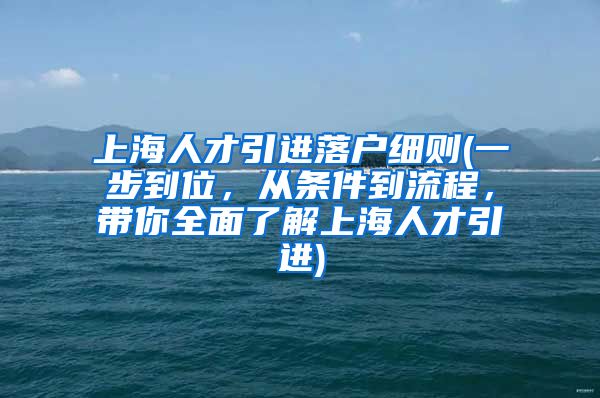 上海人才引进落户细则(一步到位，从条件到流程，带你全面了解上海人才引进)