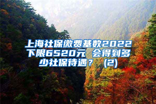 上海社保缴费基数2022下限6520元 会得到多少社保待遇？ (2)