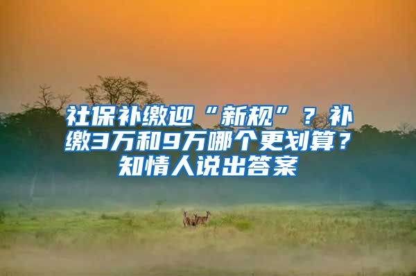 社保补缴迎“新规”？补缴3万和9万哪个更划算？知情人说出答案