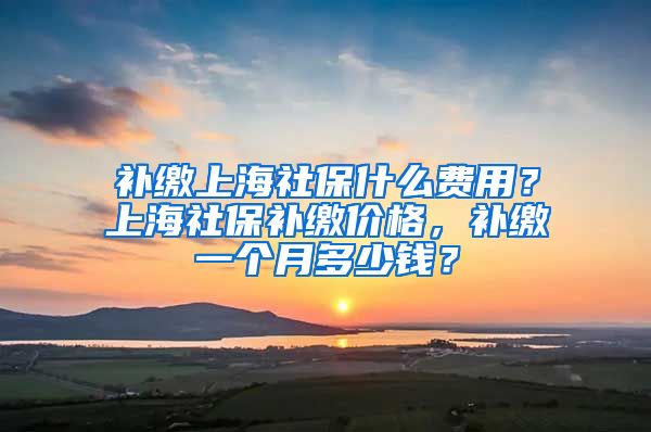 补缴上海社保什么费用？上海社保补缴价格，补缴一个月多少钱？